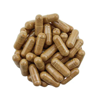 lion's mane mushroom capsules